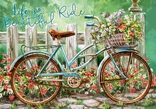 Beautiful Ride - B-52998