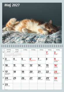 Väggkalender - Katter FSC