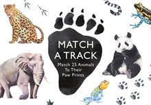 Match a Track: Match 25 Animals to Their Paw Prints