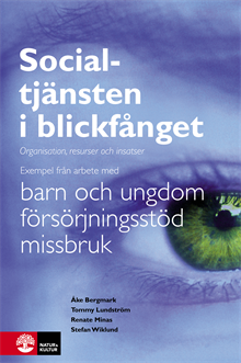 Socialtjänsten i blickfånget : organisation, resurser och insatser