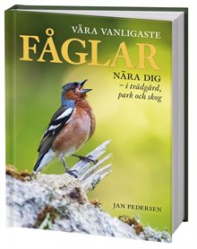 Våra vanligaste fåglar nära dig : i trädgård, park och skog