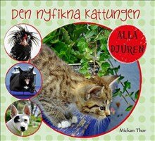 Den nyfikna kattungen