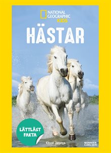 Hästar