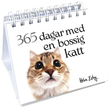 365 dagar med en bossig katt