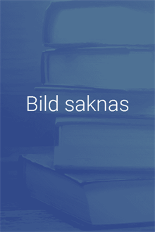 Det dödliga våldets utveckling : fullbordat och försök till dödligt våld i Sverige på 1990- och 00-talet.