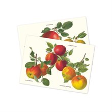 Bordstablett Äpplen 420x297mm